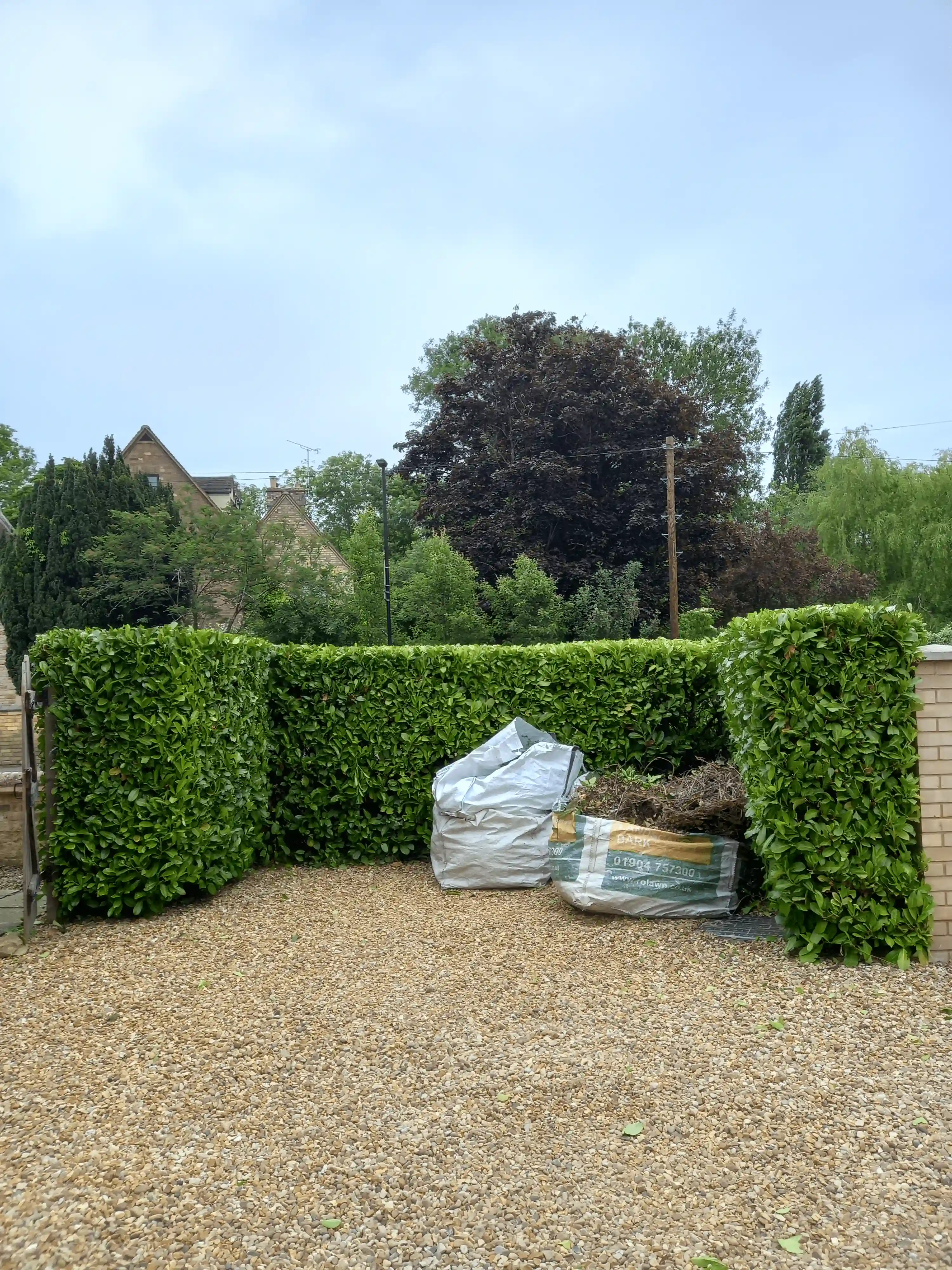 Hedge trimming by BCA Gardening Service in Peakirk